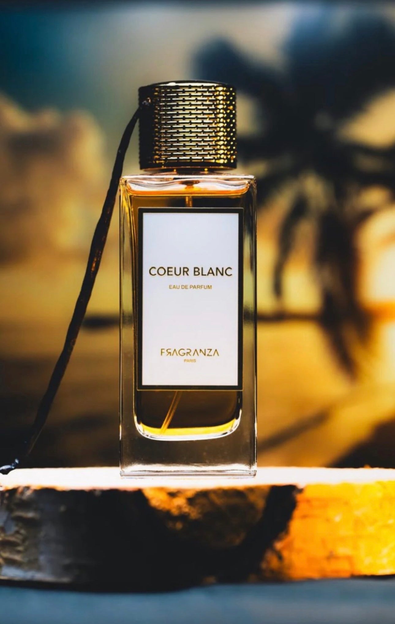 Coeur Blanc Fragranza
